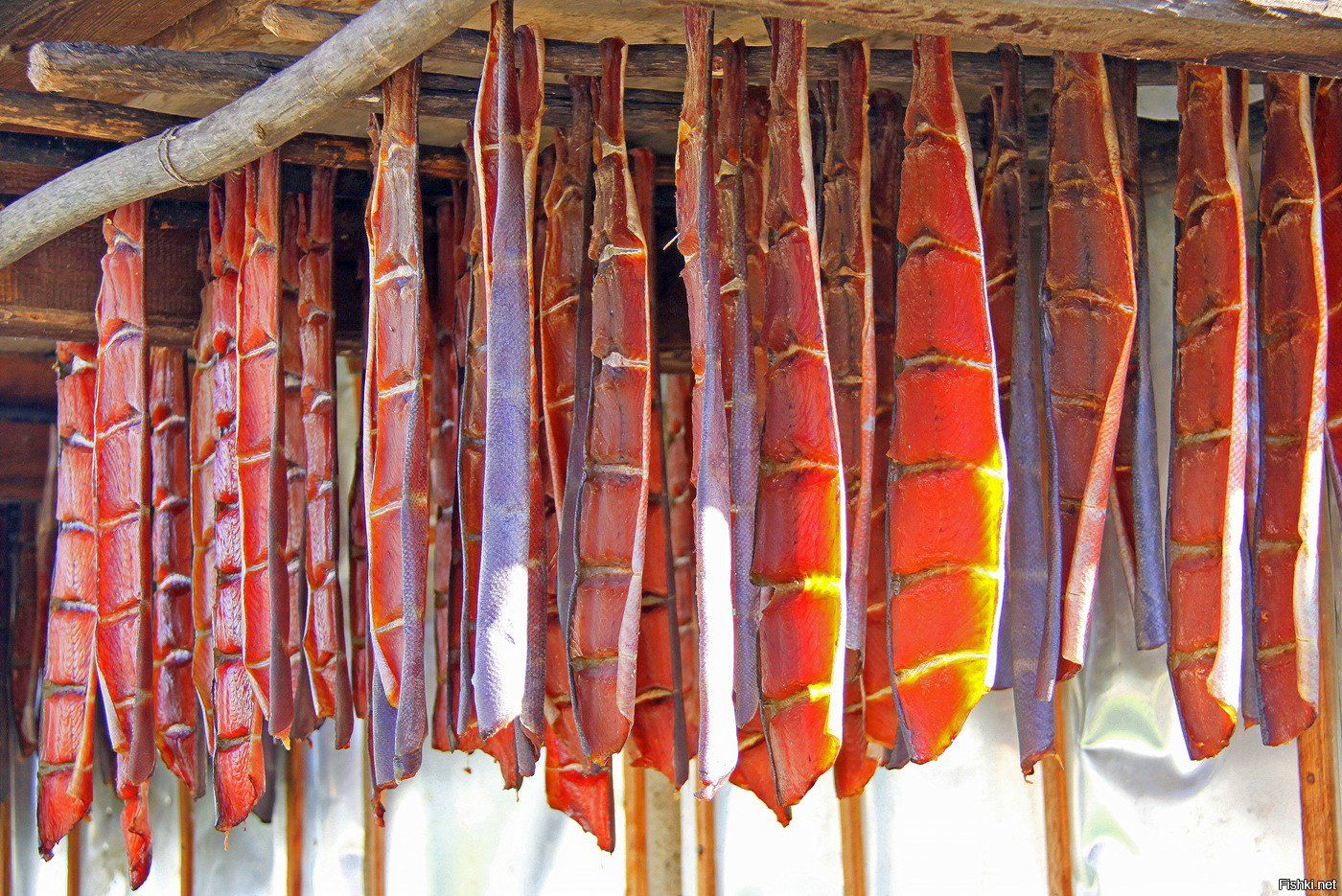 Обыденное рыбное блюдо — юкола (вяленая красная рыба)..jpg
