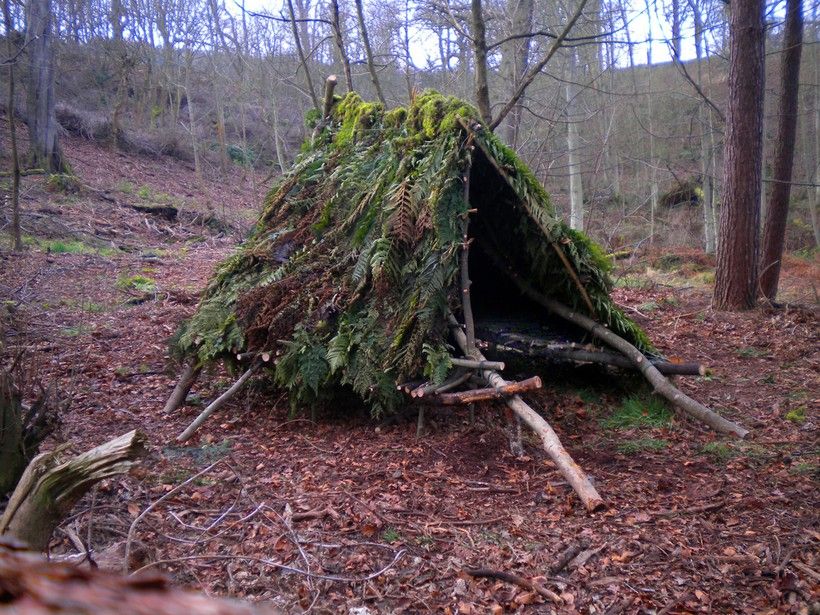 simple-forest-shelter.jpg